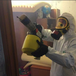 Уничтожение клопов в квартире. Коптево 